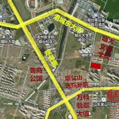 七匹狼金桥香烟：口感醇厚，包装精巧，受欢迎的国产烟