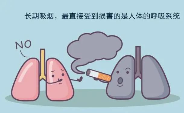 香烟特美思香烟硬_香烟_香烟纸管批发