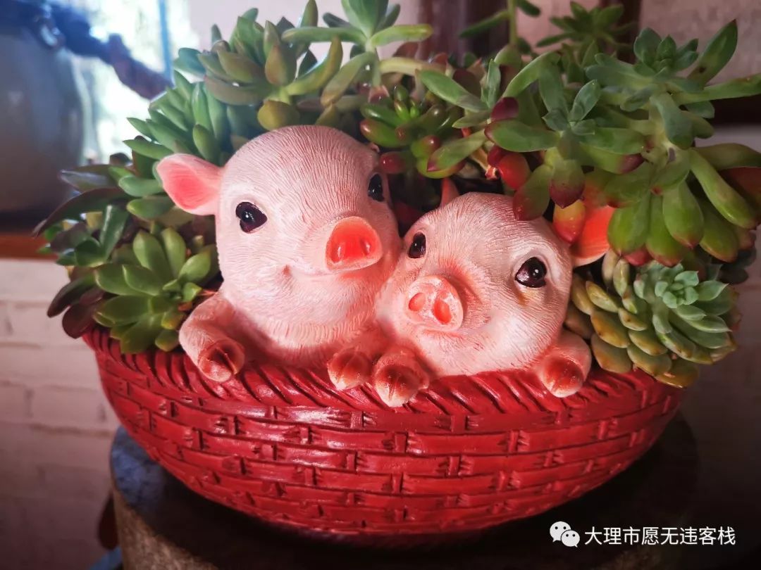 花歌曲_一枝花_花开了花谢了