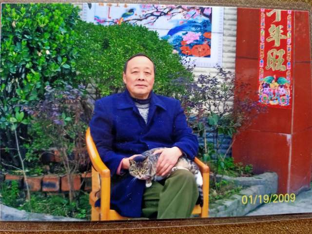 春城香烟_春城香烟价格表图_春城牌香烟