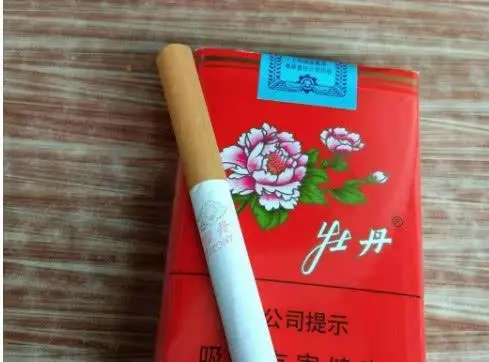 大鸡香烟_大鸡香烟_大鸡香烟