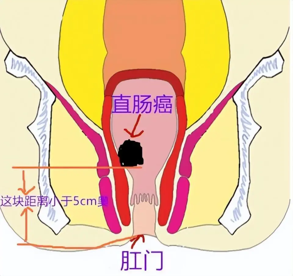 宝亨香烟多少钱一盒_宝亨香烟_宝亨香烟价格表