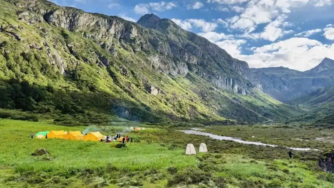 红塔山烟价格及种类全解析，你想知道的都在这里