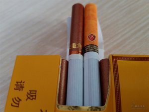 电子烟危害大还是香烟危害大_大重九香烟_重九云烟