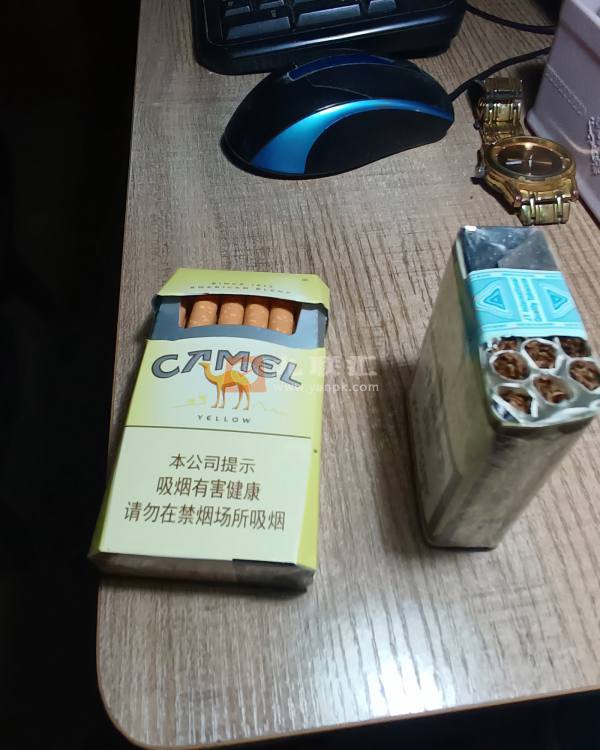 骆驼(硬黄中免版)相册