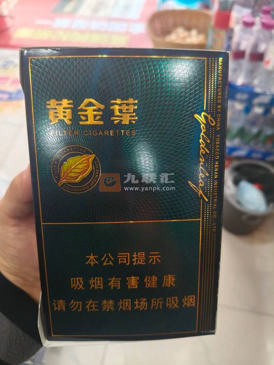 黄金叶(蓝调中支)相册