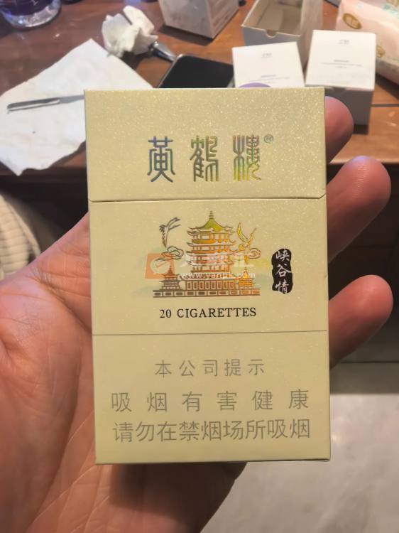 黄鹤楼(峡谷情新版)相册