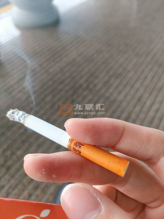 贵烟(生肖)相册