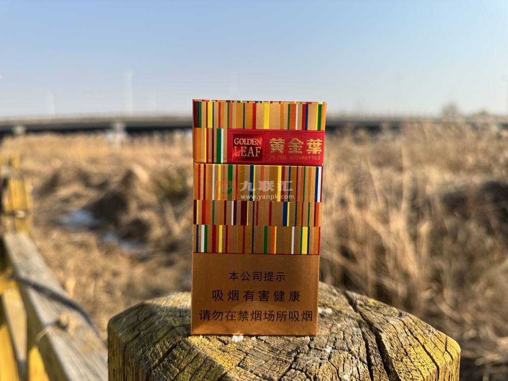 黄金叶(金炫尚)相册