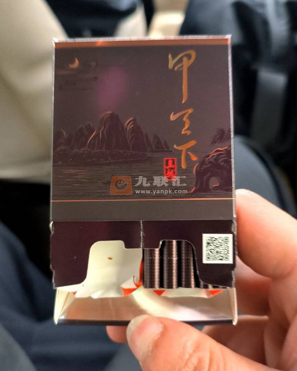 真龙(甲天下中支)相册