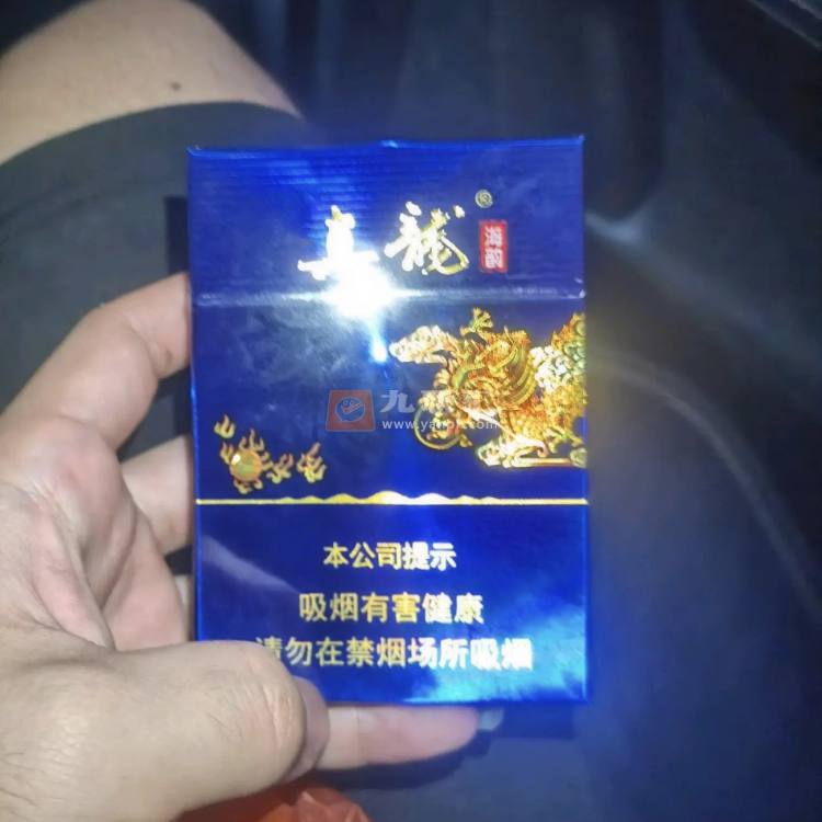 真龙(海韵中支)相册