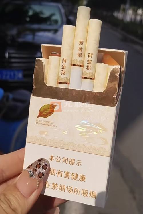 黄金叶(天香升级版)相册