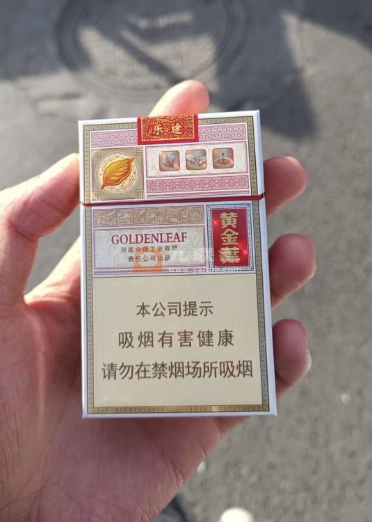 黄金叶(硬乐途)相册