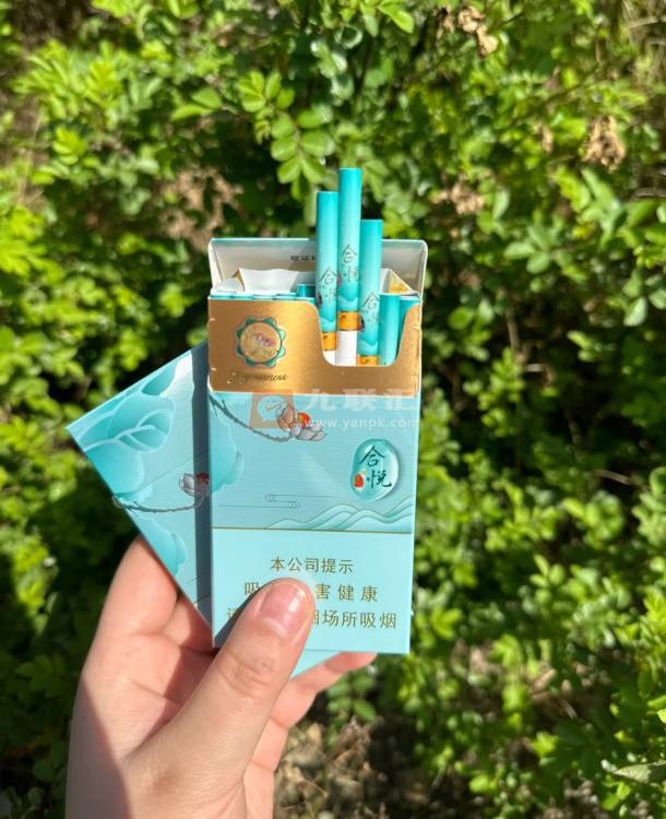 泰山(合悦)相册