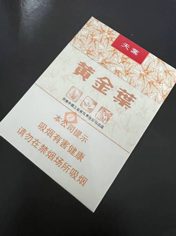 黄金叶(天叶中支)相册