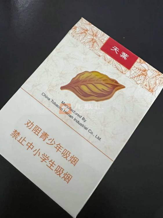 黄金叶(天叶中支)相册