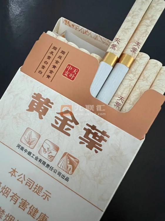 黄金叶(天叶中支)相册
