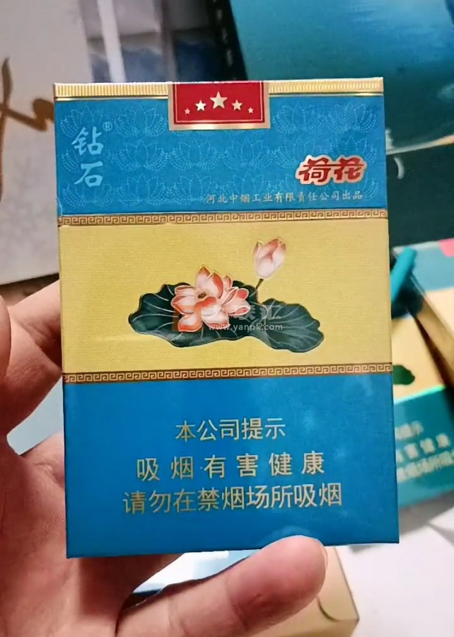 钻石(荷花中支)相册