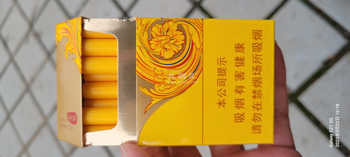 金圣(炫彩)相册