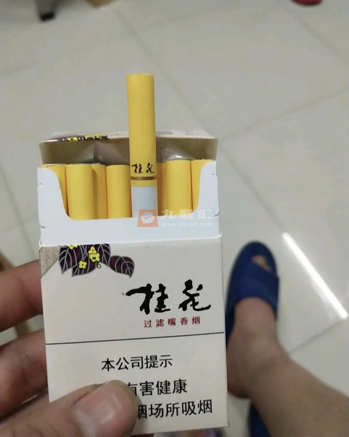 长白山(硬桂花)相册