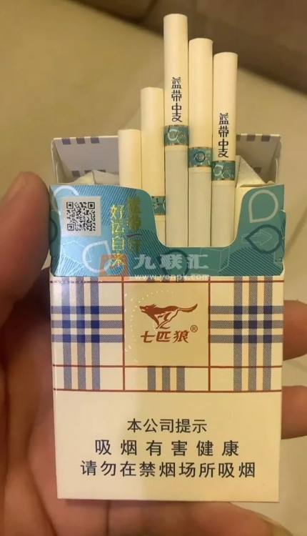 七匹狼(蓝带中支)相册