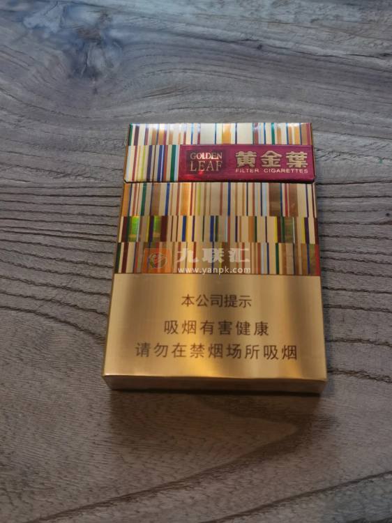 黄金叶(黄金中支)相册