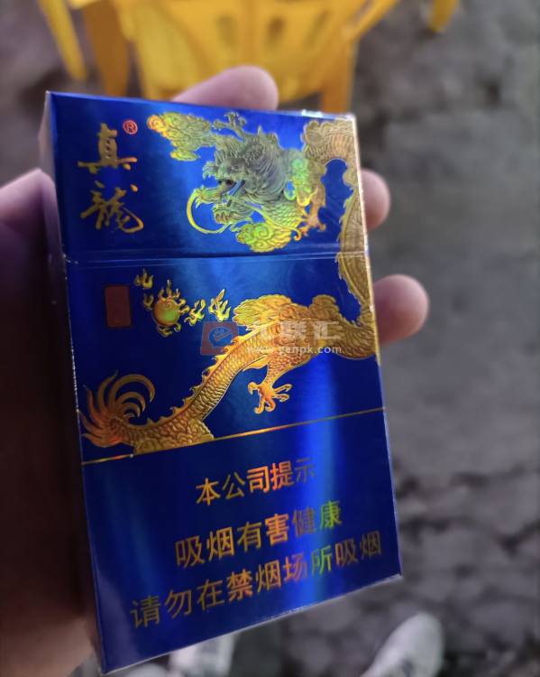 真龙(海纳百川)相册