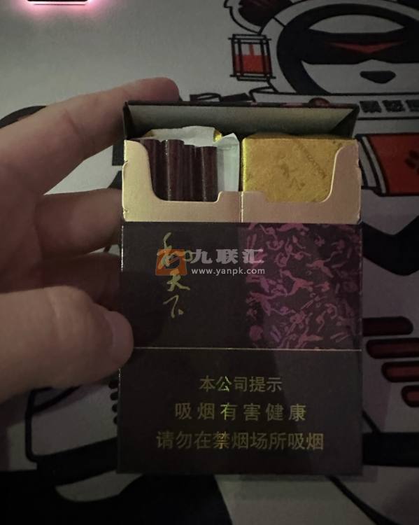 白沙(硬和天下双中支)相册