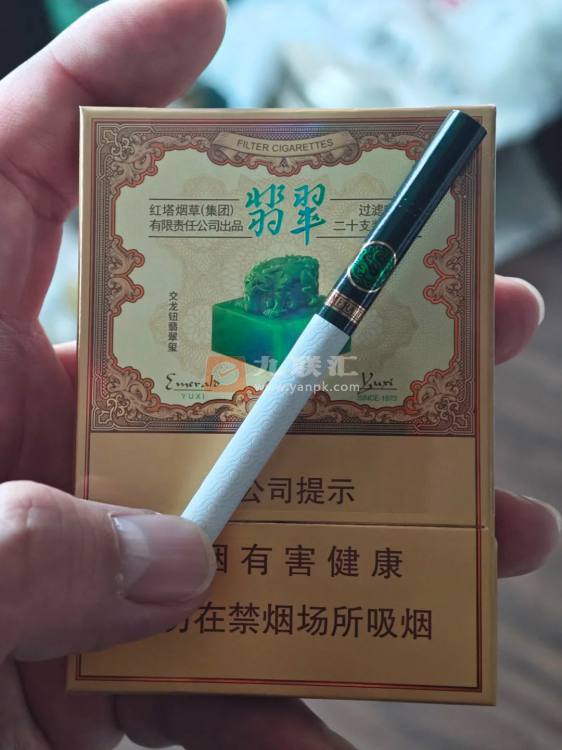 玉溪(翡翠双中支)相册