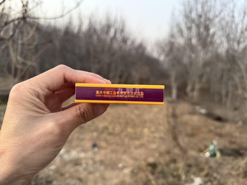 天子(中支)相册