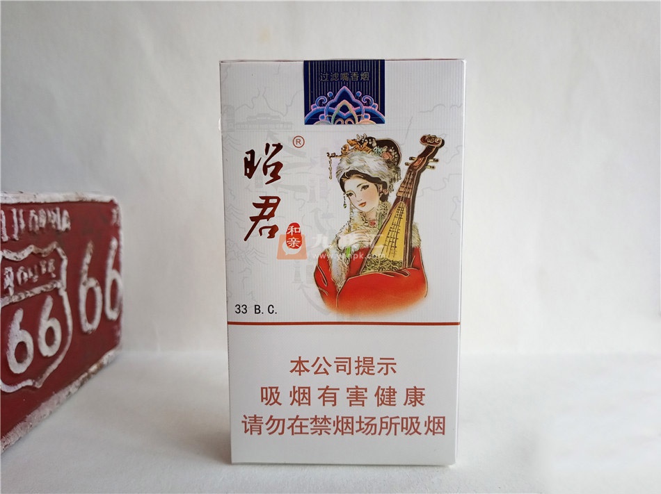 大青山(昭君和亲中支)相册