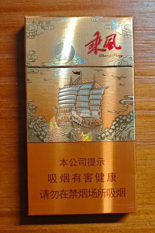 七匹狼(乘风启航)相册