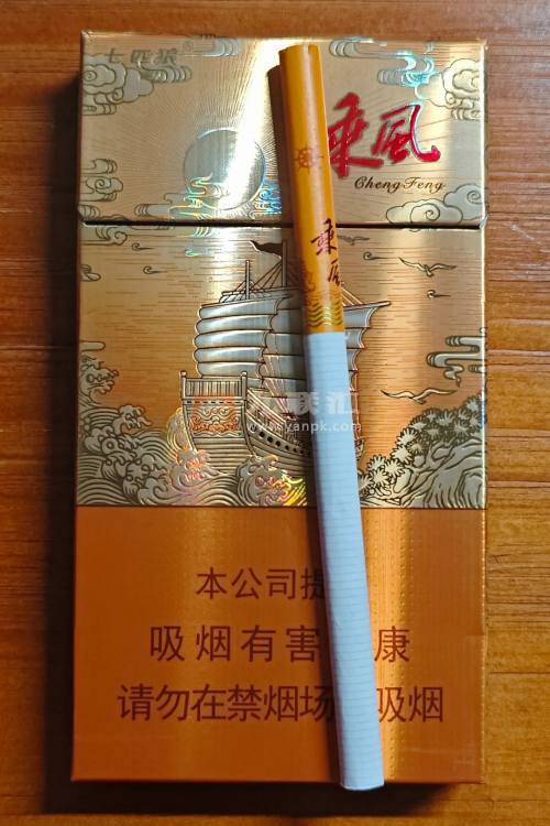 七匹狼(乘风启航)相册