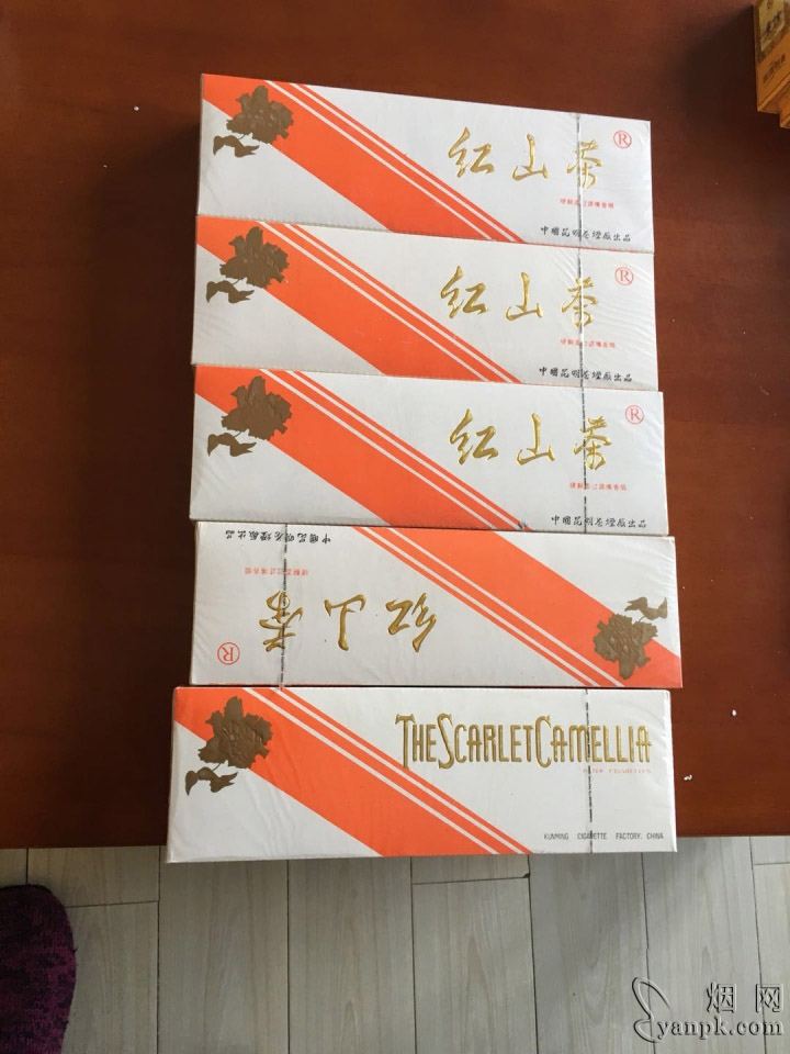 红山茶硬白相册