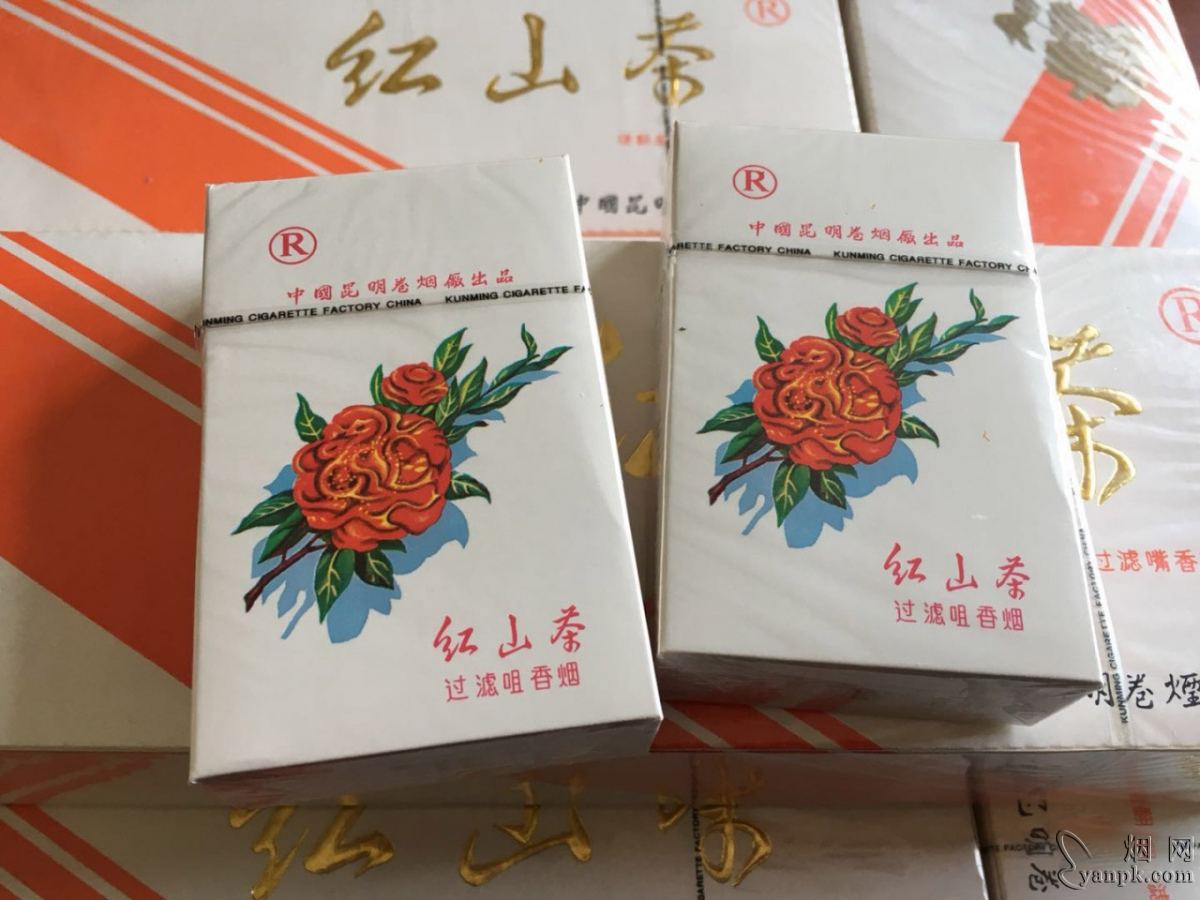 红山茶硬白相册