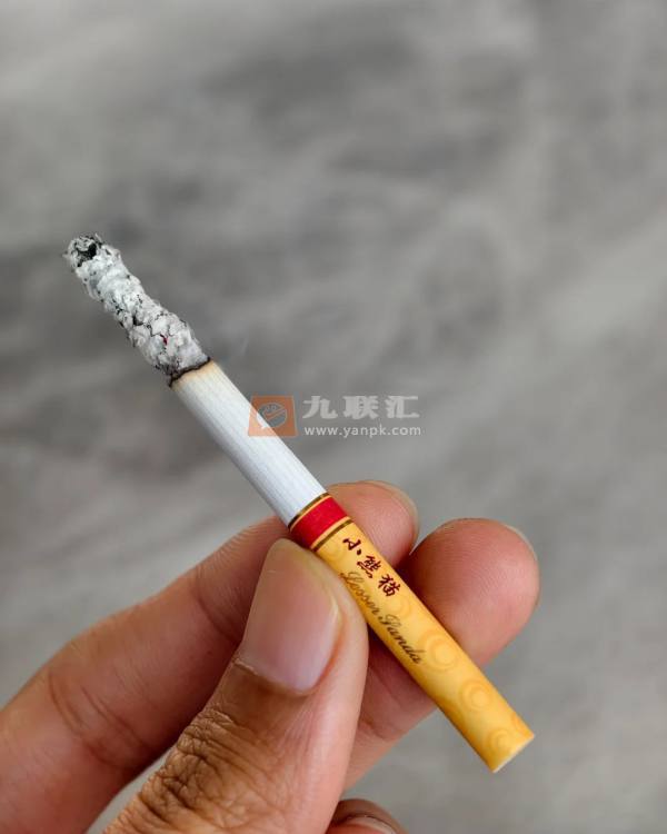 云烟(小熊猫家园)相册