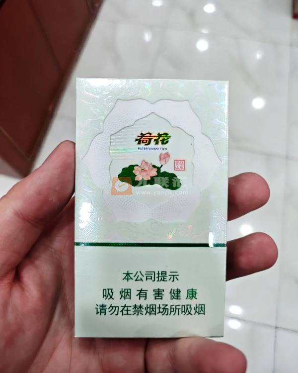 荷花绿水青山相册