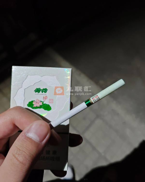 荷花绿水青山相册