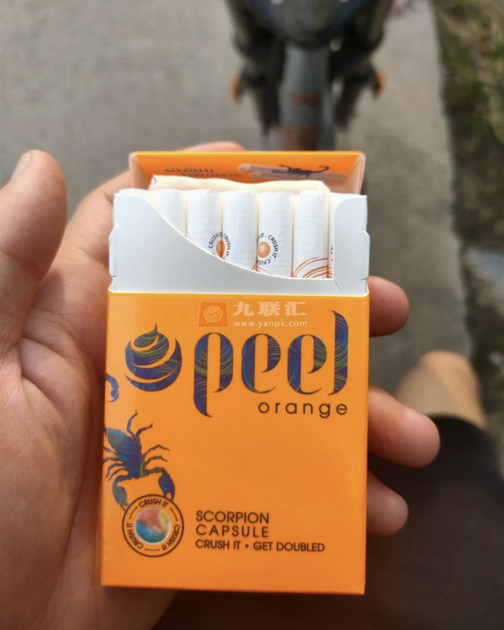百乐(橙子味)相册