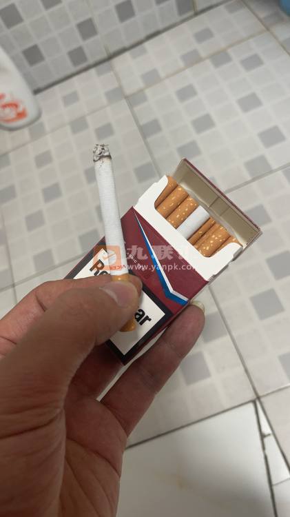 总督(硬红)相册