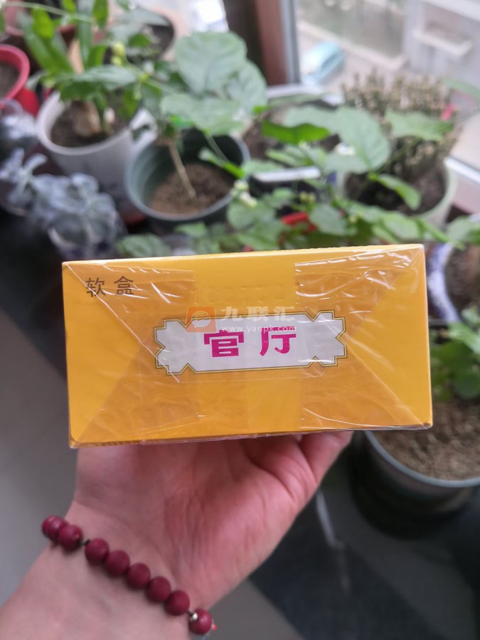 官厅(软)相册