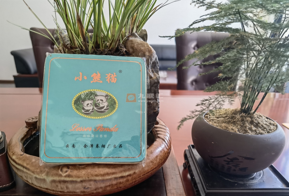 小熊猫(精品塑盒装)相册