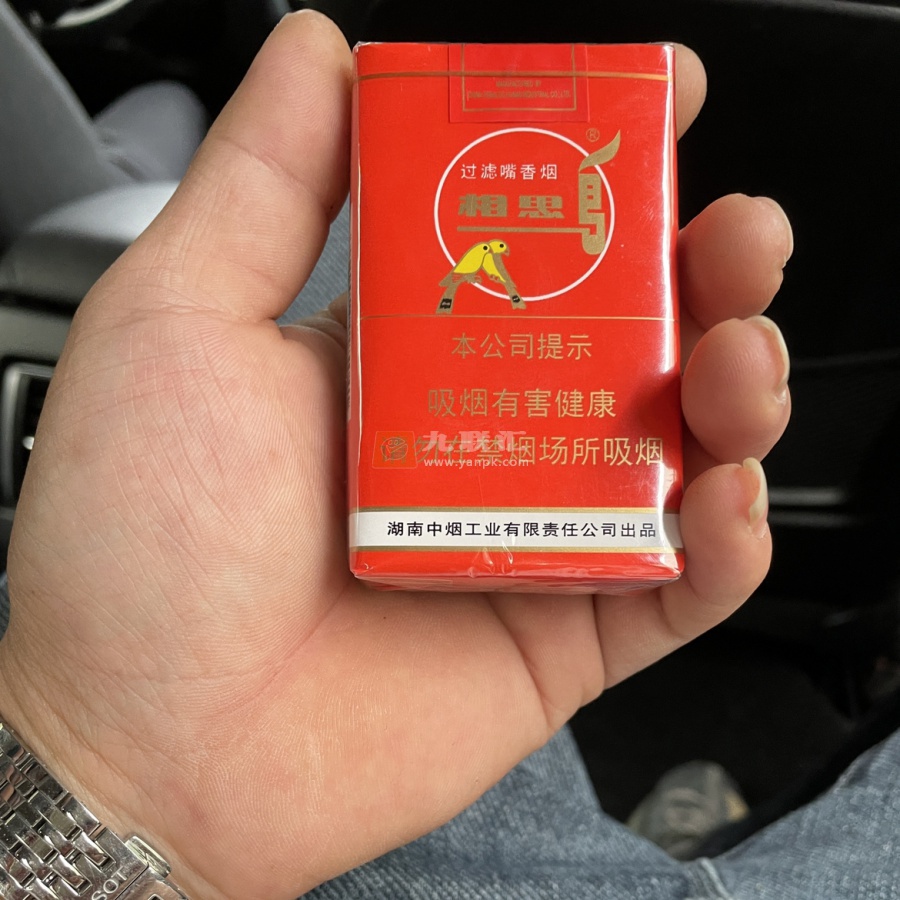 相思鸟(软)相册