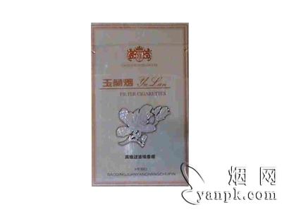 玉兰(银)相册