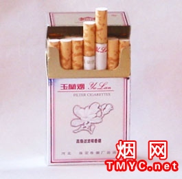 玉兰(银)相册