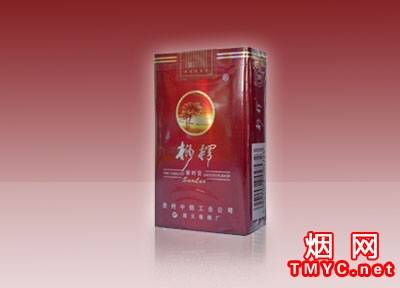 桫椤(佳品)默认相册