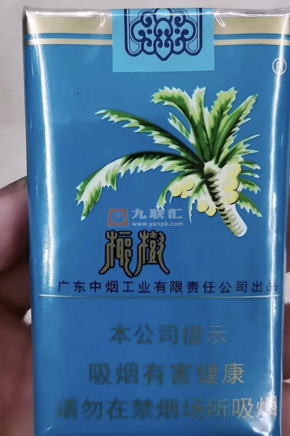 椰树软相册