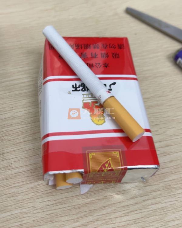 石狮(软富健)相册