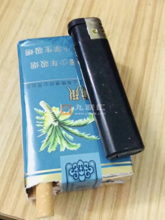 椰树软相册