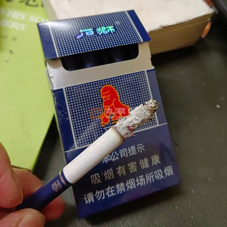 石狮(平安)相册